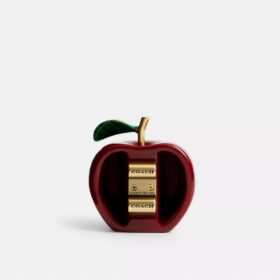 Apple-schoenbedel