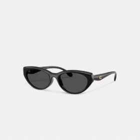 C Hardware ovale cat-eye zonnebril