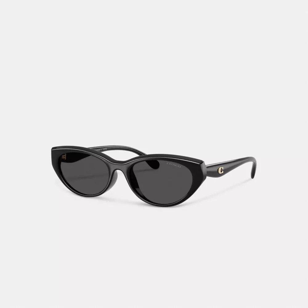 C Hardware ovale cat-eye zonnebril