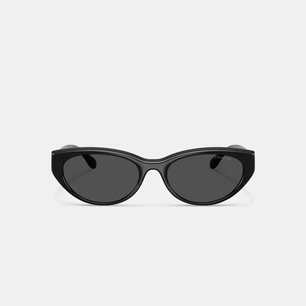 C Hardware ovale cat-eye zonnebril