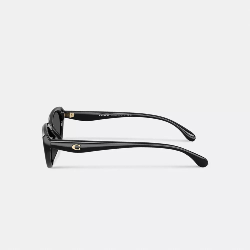 C Hardware ovale cat-eye zonnebril