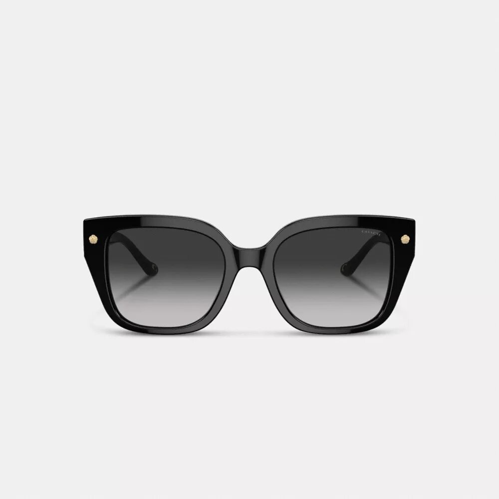 Charms oversized vierkante zonnebril