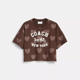 Cropped T-shirt met hartjesprint van Horse and Carriage, van biologisch katoen