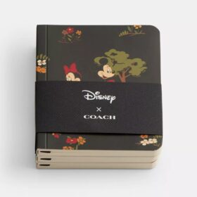 Disney X Coach mini-notitieboekjesset met Mickey Mouse en vrienden