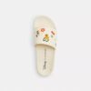 Disney X Coach Udele Sportslippers met stickerprint