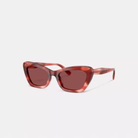Draadzonnebril in Cat-Eye-stijl