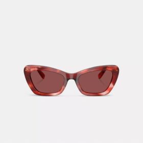 Draadzonnebril in Cat-Eye-stijl