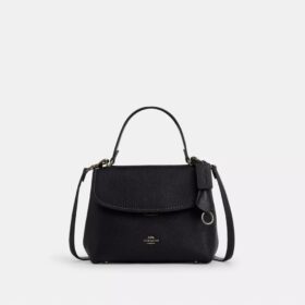 Emory-tas met handvat