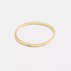 Essentiële armband met scharnier
