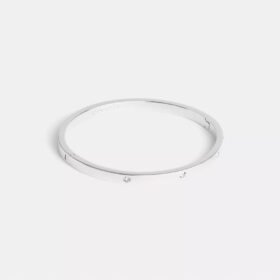 Essentiële armband met scharnier