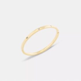 Essentiële armband met scharnier