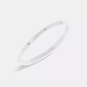 Essentiële armband met scharnier