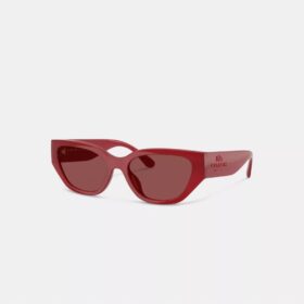 Geometrische cat-eye-zonnebril