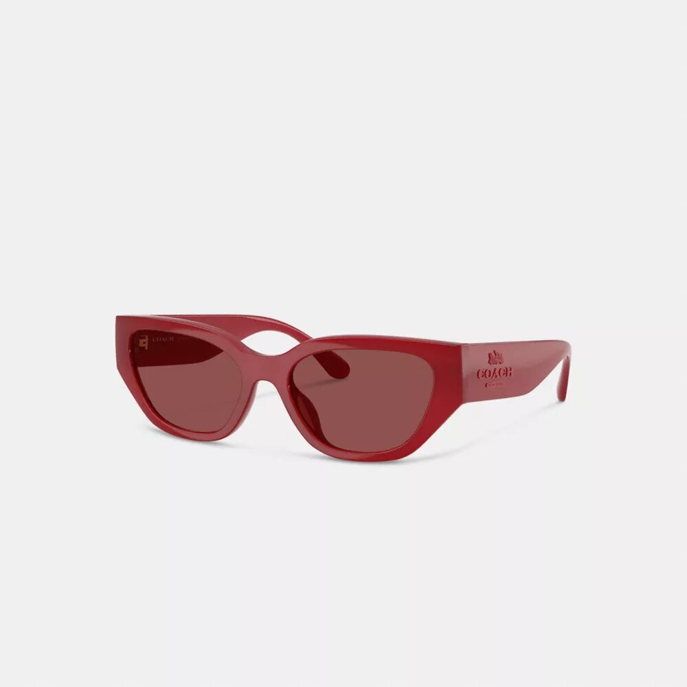 Geometrische cat-eye-zonnebril