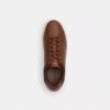 Hoge sneakers