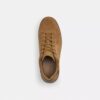 Hoge sneakers