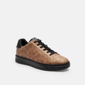 Hoge sneakers van Signature Canvas