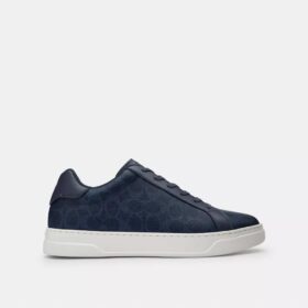Hoge sneakers van Signature Canvas