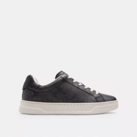 Hoge sneakers van Signature Canvas