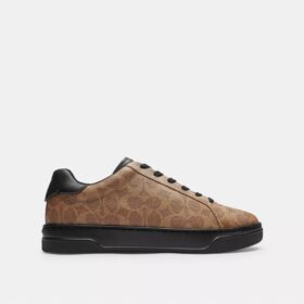 Hoge sneakers van Signature Canvas