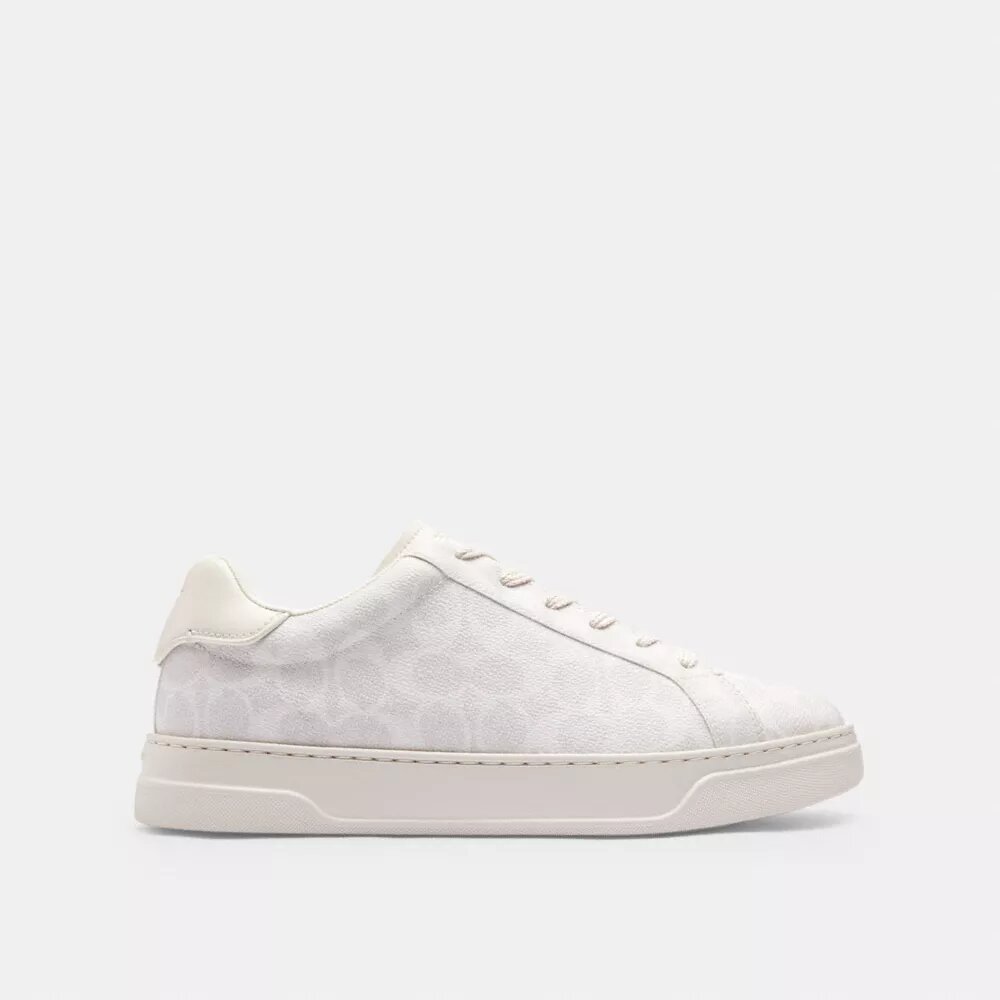 Hoge sneakers van Signature Canvas