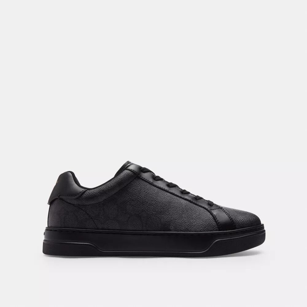 Hoge sneakers van Signature Canvas