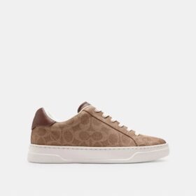 Hoge sneakers van Signature Canvas
