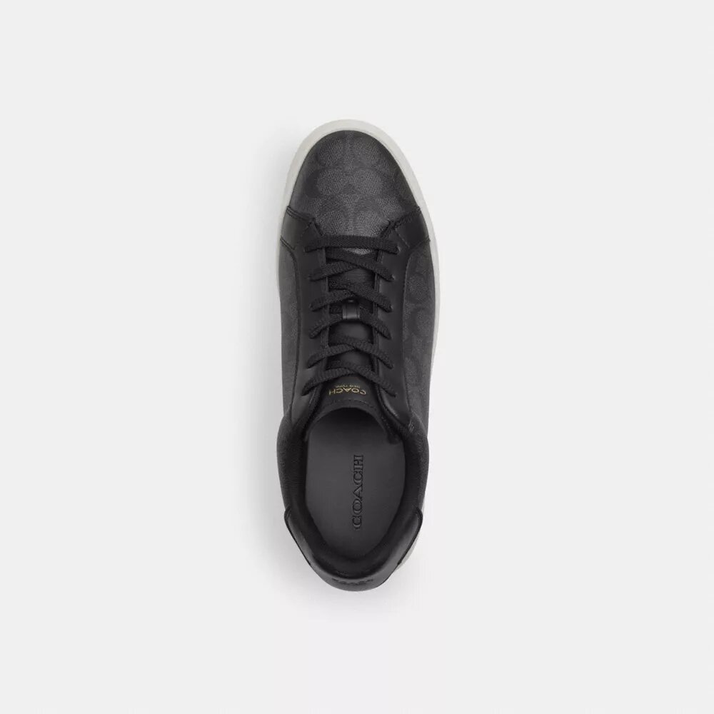Hoge sneakers van Signature Canvas