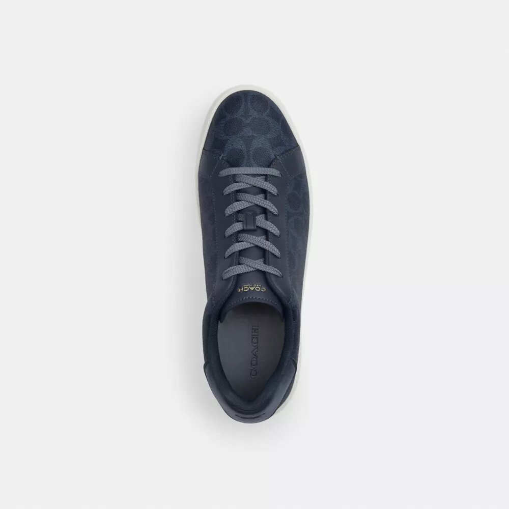 Hoge sneakers van Signature Canvas