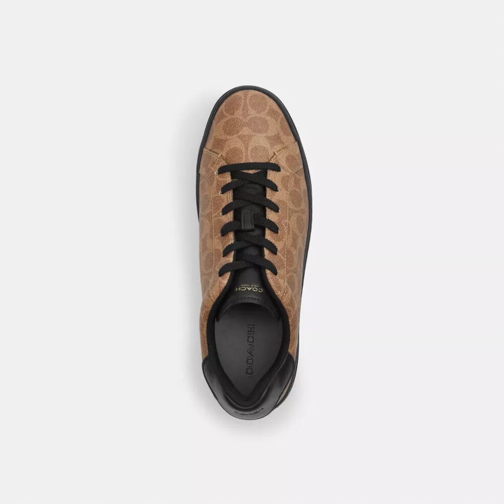 Hoge sneakers van Signature Canvas