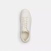 Hoge sneakers van Signature Canvas