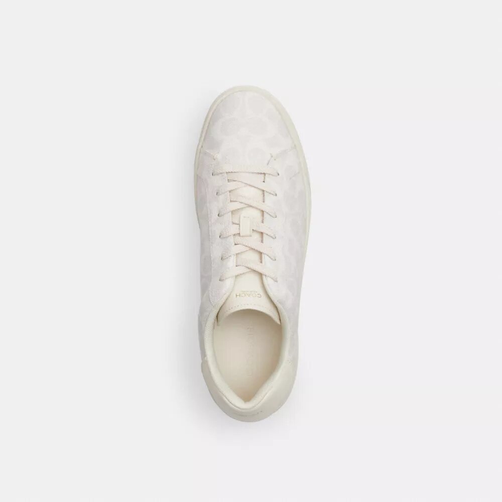 Hoge sneakers van Signature Canvas