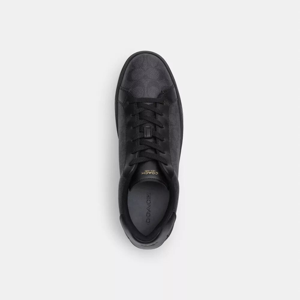 Hoge sneakers van Signature Canvas