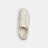 Hoge sneakers van Signature Canvas