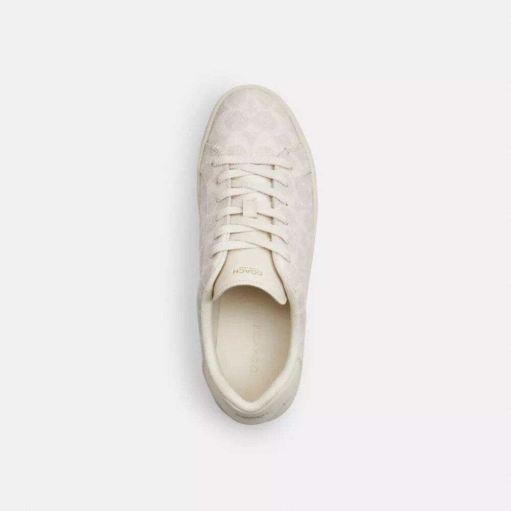 Hoge sneakers van Signature Canvas