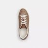 Hoge sneakers van Signature Canvas