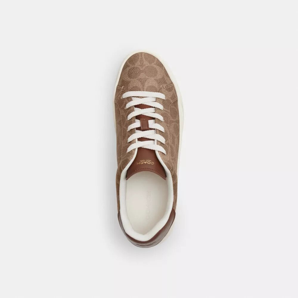 Hoge sneakers van Signature Canvas