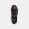 Hoge sneakers van Signature Canvas