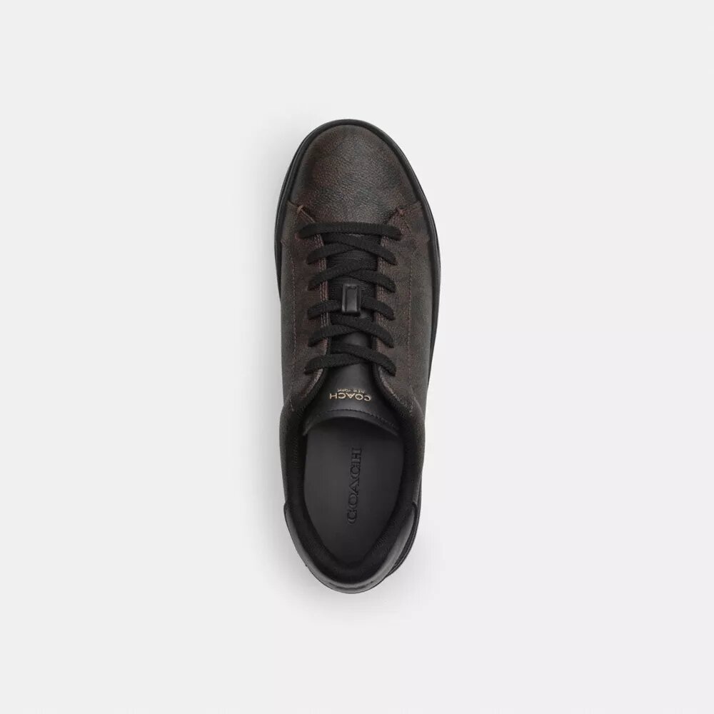 Hoge sneakers van Signature Canvas