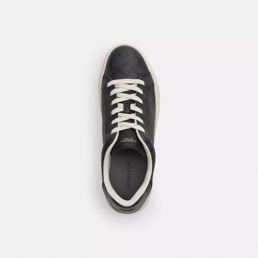 Hoge sneakers van Signature Canvas