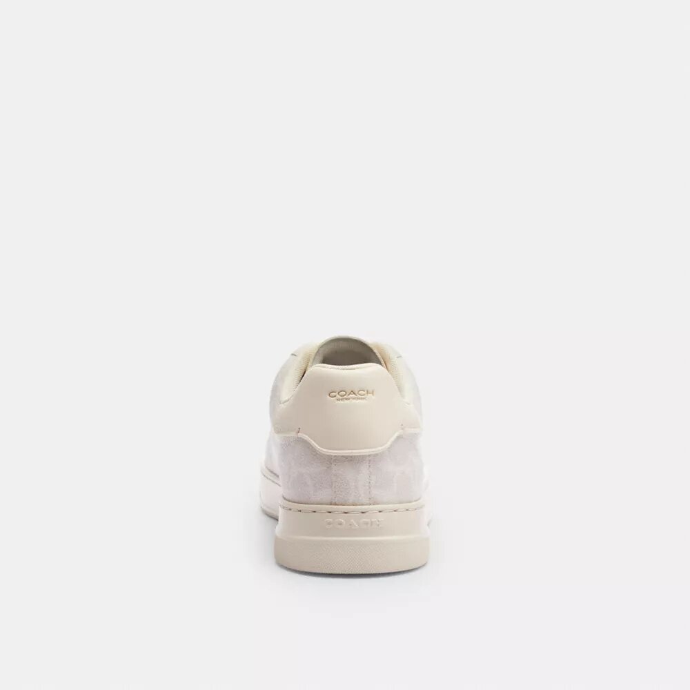 Hoge sneakers van Signature Canvas