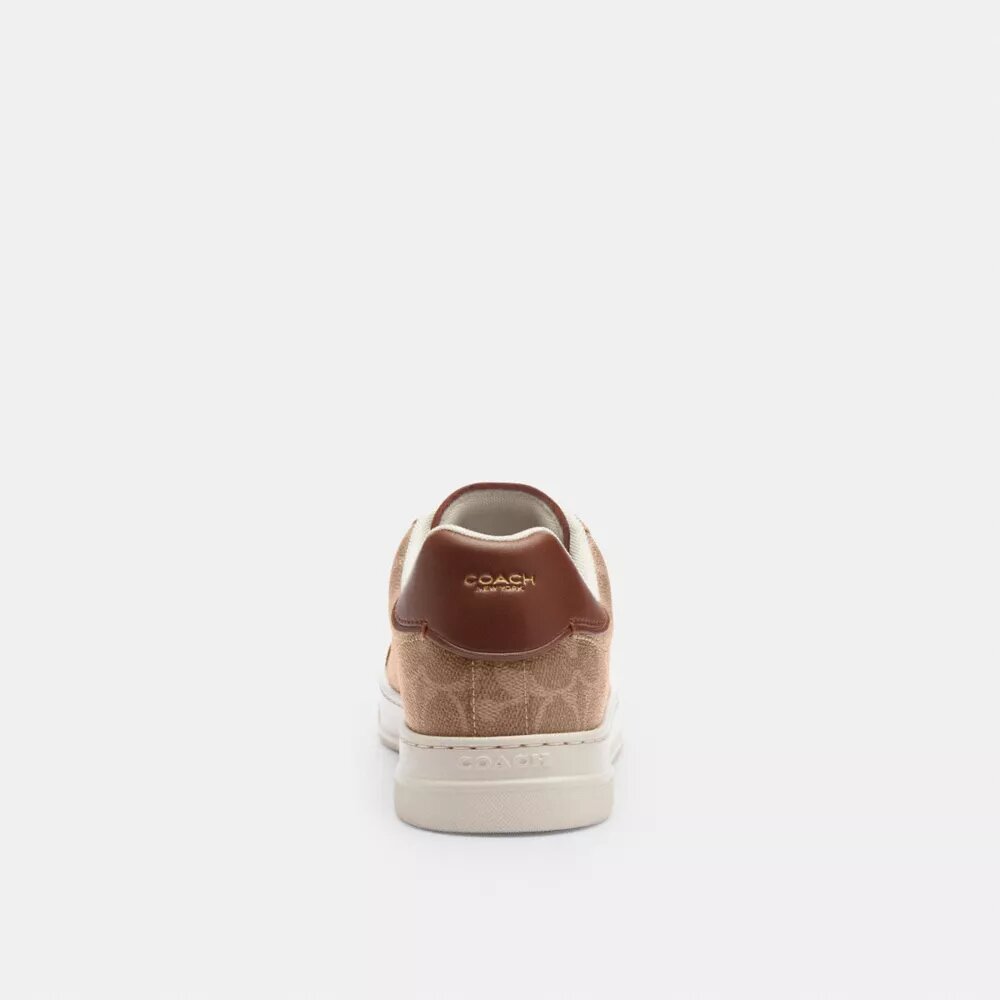 Hoge sneakers van Signature Canvas