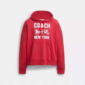 Hoodie met Horse and Carriage