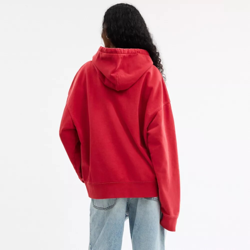 Hoodie met Horse and Carriage