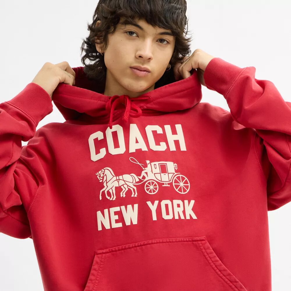 Hoodie met Horse and Carriage