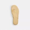 Jelly-teenslippers in kenmerkend ontwerp