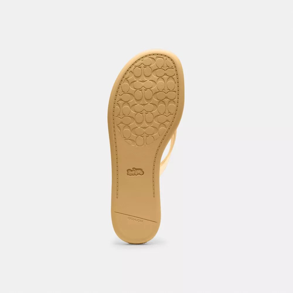 Jelly-teenslippers in kenmerkend ontwerp