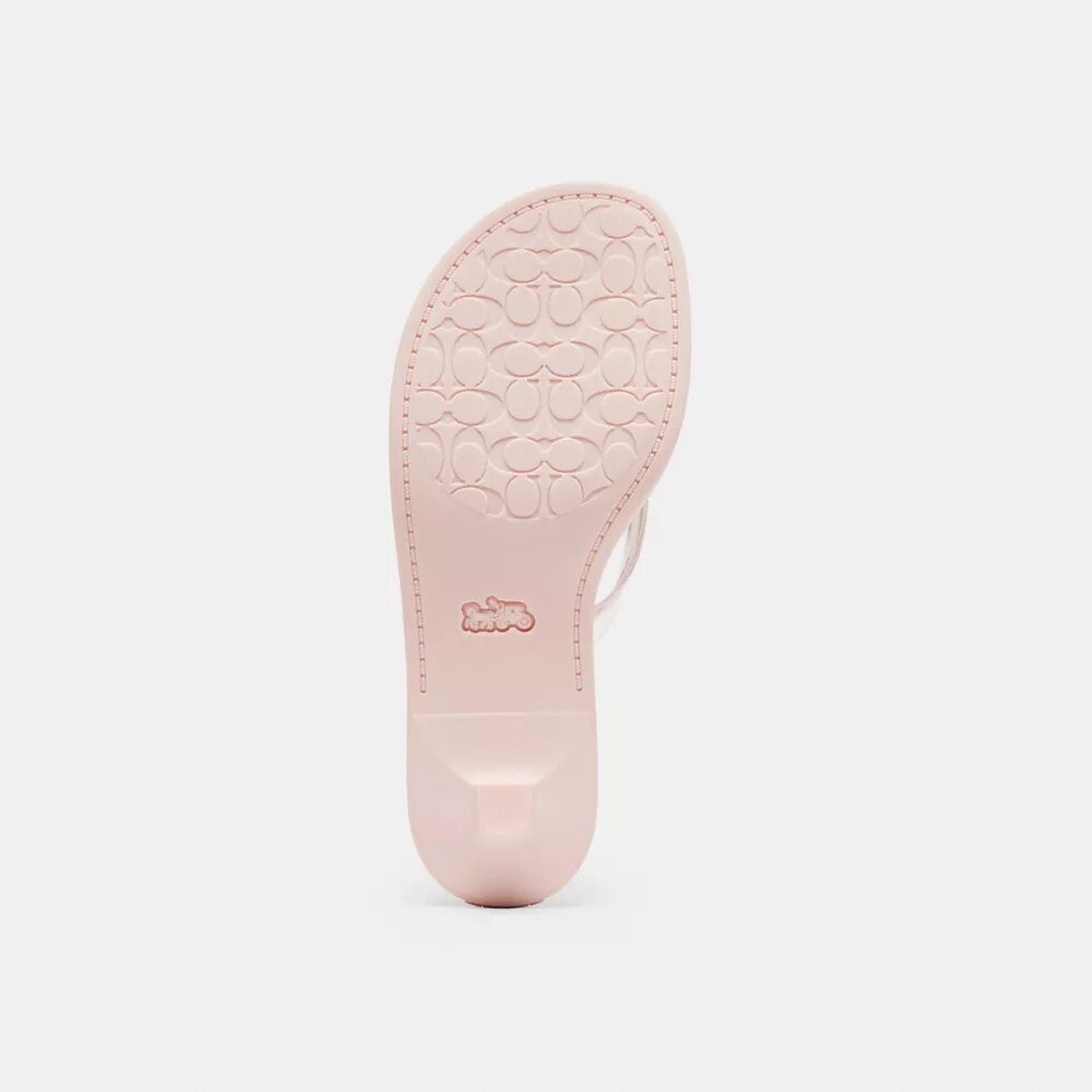 Jelly-teepaardje in kenmerkende stijl als Sandalen