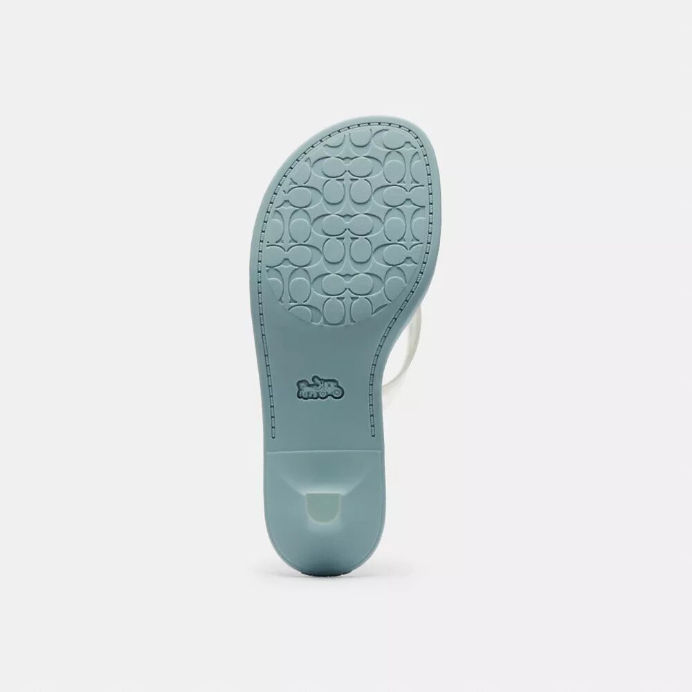 Jelly-teepaardje in kenmerkende stijl als Sandalen