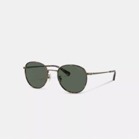 Metalen ronde Windsor-zonnebril